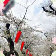 ヒメ日記 2025/04/08 09:48 投稿 落合いろは おいしい人妻熟女