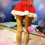 ヒメ日記 2025/12/12 11:08 投稿 落合いろは おいしい人妻熟女