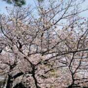 かのん 春分のひ🌸 おいしい人妻熟女