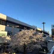 ヒメ日記 2025/04/05 07:21 投稿 かなめ 大宮ウィング