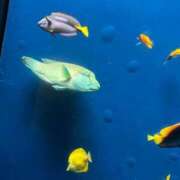 ヒメ日記 2025/04/19 15:35 投稿 かなめ 大宮ウィング