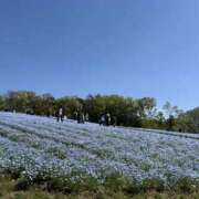 めいの めいの（スピード梅田店） スピード梅田店