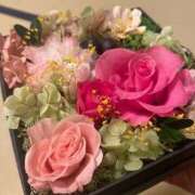 ヒメ日記 2025/07/07 15:00 投稿 リンカ(極) 人妻生レンタル