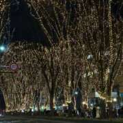 ヒメ日記 2024/12/21 20:25 投稿 ルゥ 人妻生レンタル