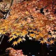 ヒメ日記 2025/12/06 08:50 投稿 ルゥ 人妻生レンタル