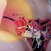 ヒメ日記 2026/03/28 12:42 投稿 朝倉麗 プルデリR40滋賀店