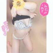 ヒメ日記 2024/12/28 12:36 投稿 にこる パリス雄琴店