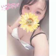 ヒメ日記 2025/04/24 22:43 投稿 にこる パリス雄琴店