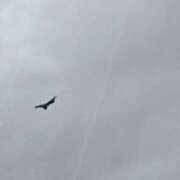 ヒメ日記 2025/09/25 09:40 投稿 高野えみり 五十路マダム富山店(カサブランカグループ)