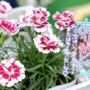 ヒメ日記 2025/03/25 20:02 投稿 ゆいか 甲府人妻城