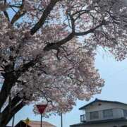 ヒメ日記 2025/04/22 17:22 投稿 ゆいか 甲府人妻城