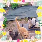 ヒメ日記 2025/06/16 23:59 投稿 ゆいか 甲府人妻城