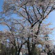 ヒメ日記 2026/04/11 20:30 投稿 ゆいか 甲府人妻城