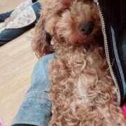 ヒメ日記 2024/12/12 11:54 投稿 このは『プレミアキャスト』 CANDY