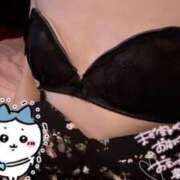 ヒメ日記 2025/04/26 08:04 投稿 このは『プレミアキャスト』 CANDY