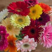 ヒメ日記 2026/01/24 11:46 投稿 ミサキ ラブコレクション