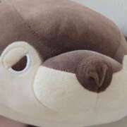 ヒメ日記 2026/03/16 14:31 投稿 ミサキ ラブコレクション