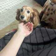 ヒメ日記 2025/05/09 08:49 投稿 るい clubさくら難波店