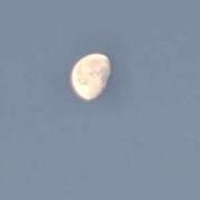 ヒメ日記 2026/01/08 08:41 投稿 るい 奥様さくら難波店