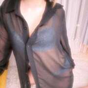 ヒメ日記 2025/07/01 07:55 投稿 休(ちる) 黒薔薇