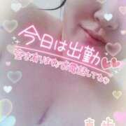 ヒメ日記 2025/01/18 18:49 投稿 真歩(まほ) 札幌人妻マドンナ