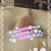 ヒメ日記 2025/02/17 04:18 投稿 真歩(まほ) 札幌人妻マドンナ