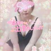 ヒメ日記 2025/02/22 18:04 投稿 真歩(まほ) 札幌人妻マドンナ