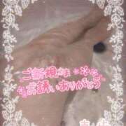 ヒメ日記 2025/02/26 23:03 投稿 真歩(まほ) 札幌人妻マドンナ