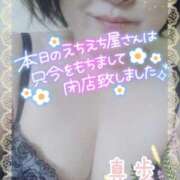 ヒメ日記 2025/03/02 04:18 投稿 真歩(まほ) 札幌人妻マドンナ