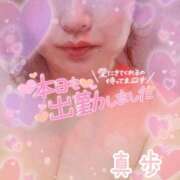 ヒメ日記 2025/03/19 18:19 投稿 真歩(まほ) 札幌人妻マドンナ