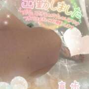 ヒメ日記 2025/03/28 18:19 投稿 真歩(まほ) 札幌人妻マドンナ