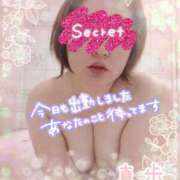 ヒメ日記 2025/03/30 15:03 投稿 真歩(まほ) 札幌人妻マドンナ