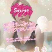 ヒメ日記 2025/07/24 18:21 投稿 真歩(まほ) 札幌人妻マドンナ