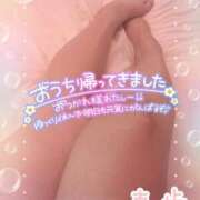 ヒメ日記 2025/08/05 04:24 投稿 真歩(まほ) 札幌人妻マドンナ