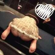 ヒメ日記 2025/11/06 12:31 投稿 ほなみ アラカルト