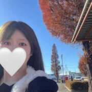 ヒメ日記 2024/12/12 11:23 投稿 れいら オーラ全開圧倒的美女！ L＆Jブラザーズ