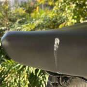 ヒメ日記 2024/12/22 16:20 投稿 あすか 千葉松戸ちゃんこ