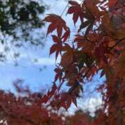 ヒメ日記 2024/12/29 16:55 投稿 あすか 千葉松戸ちゃんこ