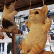 ヒメ日記 2025/02/07 10:26 投稿 あすか 千葉松戸ちゃんこ