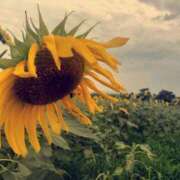 ヒメ日記 2025/03/21 08:13 投稿 あすか 千葉松戸ちゃんこ