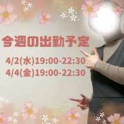 ヒメ日記 2025/03/31 12:07 投稿 あすか 千葉松戸ちゃんこ