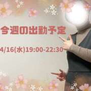 ヒメ日記 2025/04/14 12:41 投稿 あすか 千葉松戸ちゃんこ