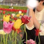 ヒメ日記 2025/04/20 08:16 投稿 あすか 千葉松戸ちゃんこ