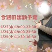 ヒメ日記 2025/04/21 07:14 投稿 あすか 千葉松戸ちゃんこ