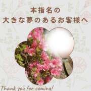 ヒメ日記 2025/04/26 00:39 投稿 あすか 千葉松戸ちゃんこ