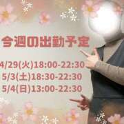 ヒメ日記 2025/04/28 12:34 投稿 あすか 千葉松戸ちゃんこ