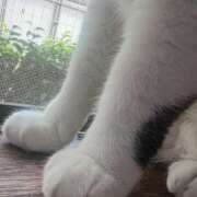 ヒメ日記 2025/05/29 21:28 投稿 あすか 千葉松戸ちゃんこ