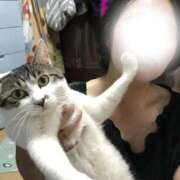 ヒメ日記 2025/06/03 12:23 投稿 あすか 千葉松戸ちゃんこ