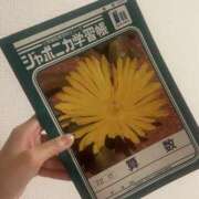 ヒメ日記 2025/06/25 08:14 投稿 あすか 千葉松戸ちゃんこ