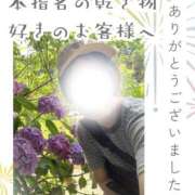 ヒメ日記 2025/07/05 10:22 投稿 あすか 千葉松戸ちゃんこ